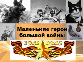 Пушистые герои войны Пушистые герои войны.