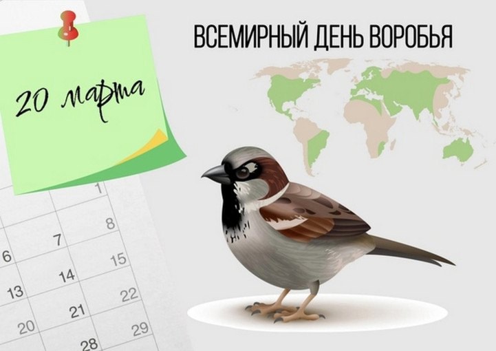 20 марта - Всемирный день воробья 20 марта - Всемирный день воробья.