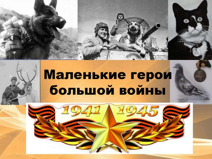 Пушистые герои войны Пушистые герои войны.