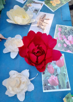 Цветочный квест продолжается🌺 Цветочный квест продолжается🌺.