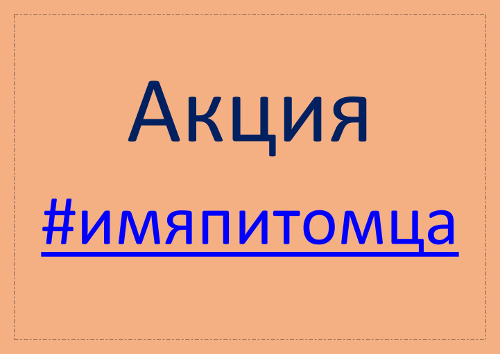 Акция #имяпитомца. Ульяна Заруцкая Акция #имяпитомца. Ульяна Заруцкая.